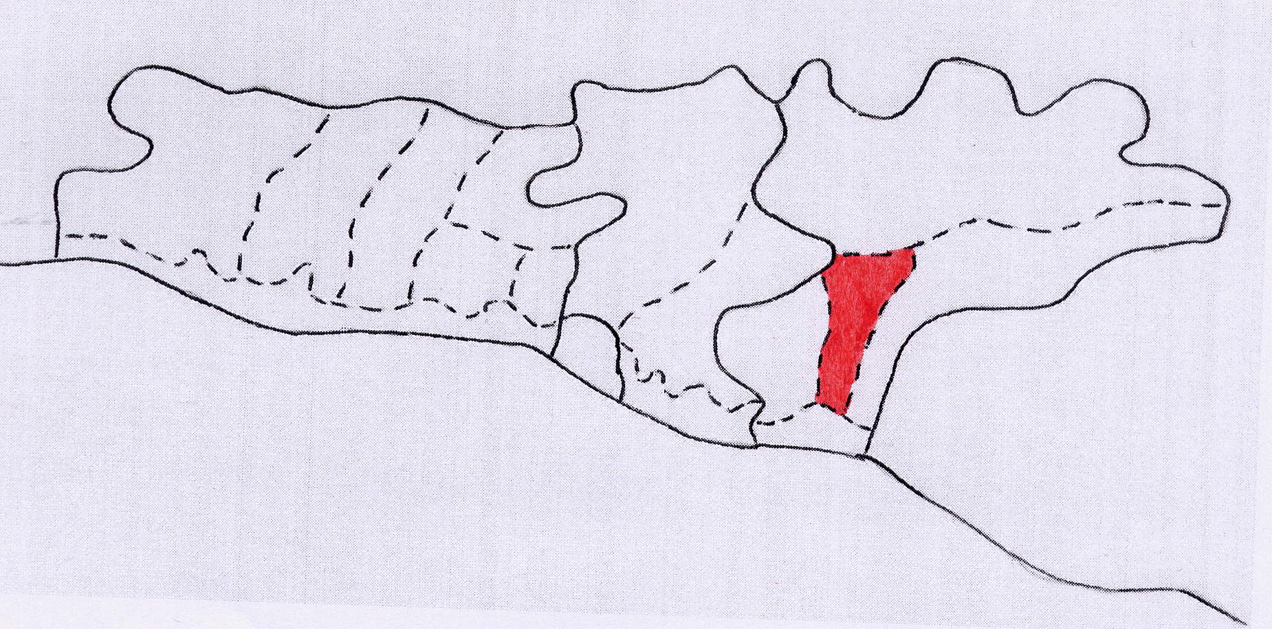 Краснодар