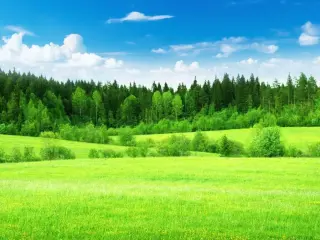 Туры в Россия