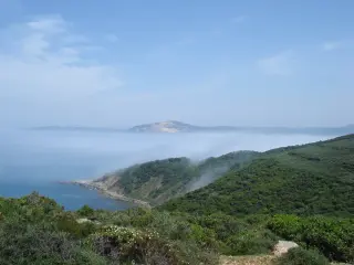 Туры в Тунис