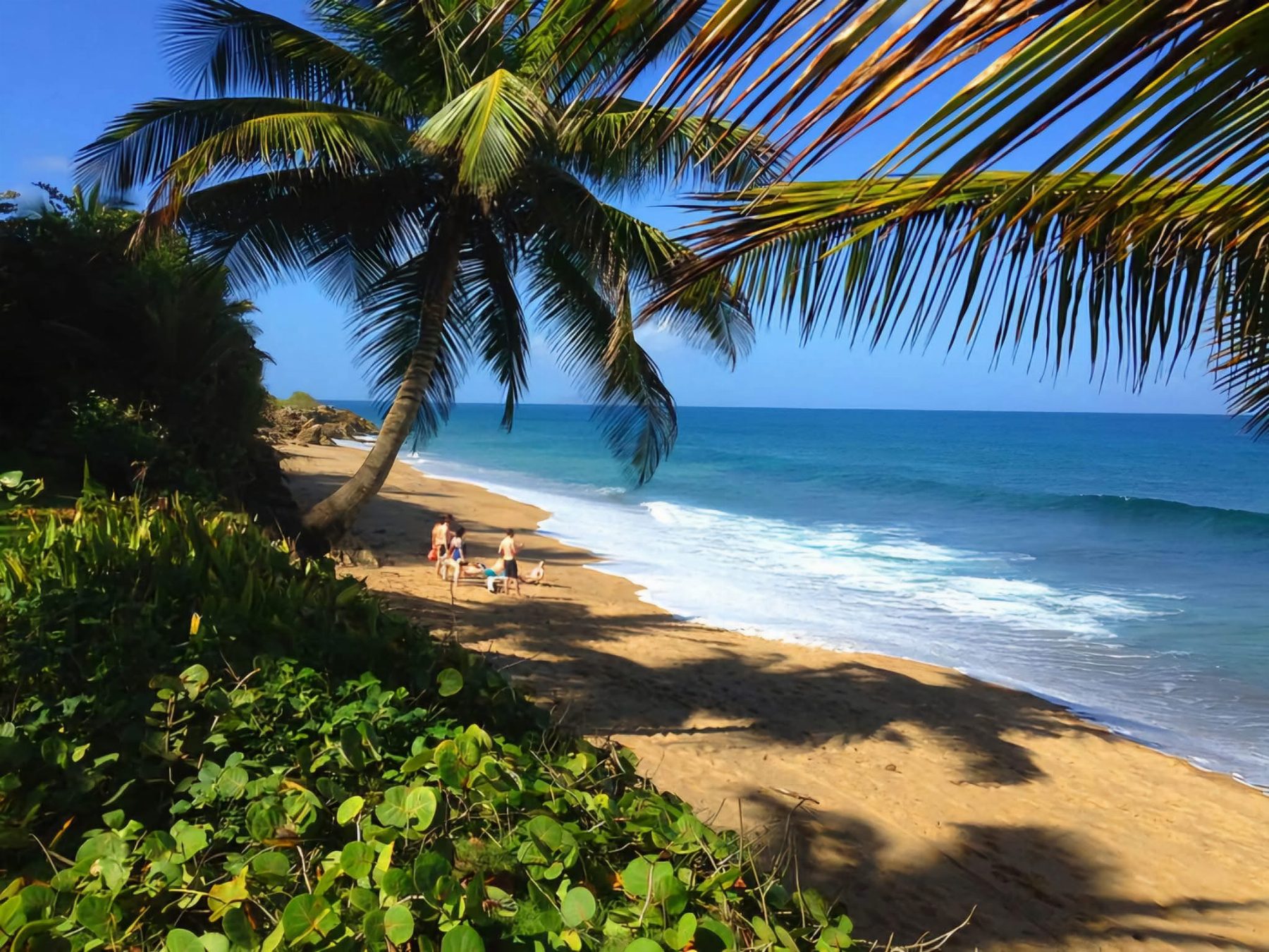 Puerto Rico offsite — Puerto Rico, USA