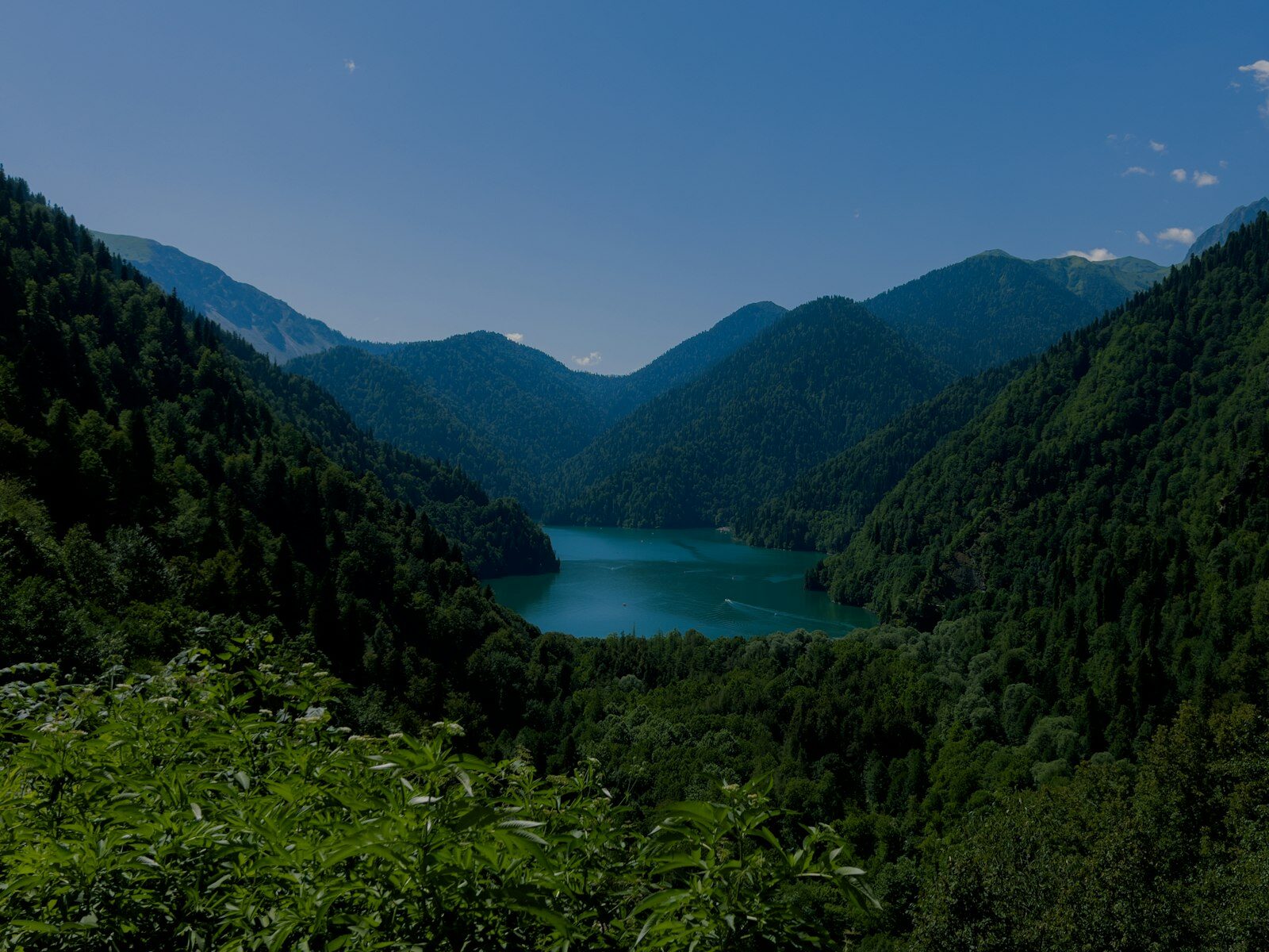 Гагра