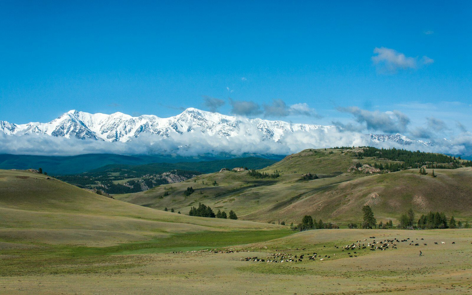 Алтай, Россия