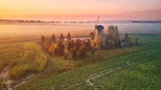 Эконом тур из Москвы: Минск, Брест, Гродно + замки и Беловежская пуща. Проезд до Минска и обратно включен в стоимость.