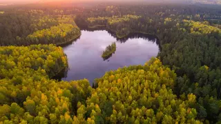 Сердце Беларуси. Брест -  Пуща - Минск - Несвиж - Мир - "Дудутки"
