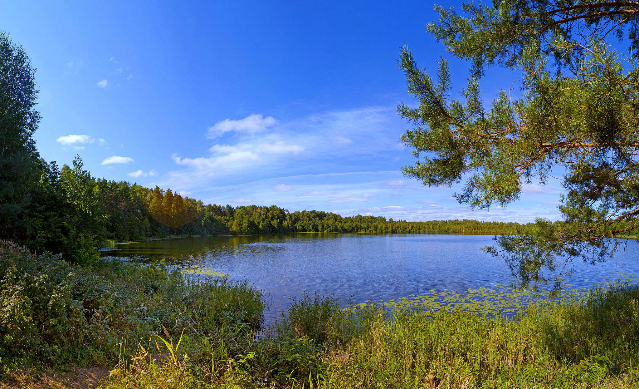 Нижегородские усадьбы